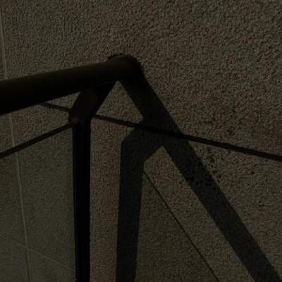 兽设幻想物种设计福瑞交流群